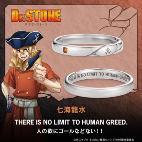 TV˥Dr.STONEס å ζ С