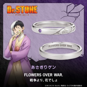 TV˥Dr.STONEס å ꥲ С