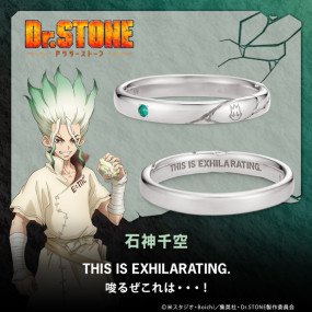 TV˥Dr.STONEס å п С