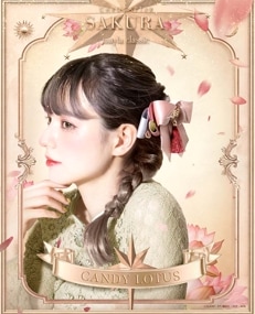 �ڥ����ɥ���ץ����������mayla classic �ޥ��饯�饷�å� �������˥å� �إ����֥��� �����ǥ����������� ��ǥ�����