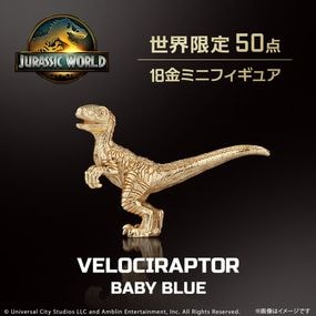 �ڥ���饷�å������ɡۡ�50������� �٥ӡ��֥롼 �ߥ˥ե����奢 K18���������������