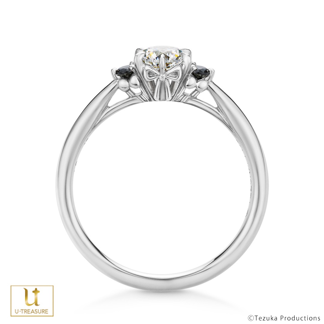 ڼͼɡ ֥åå 󥲡 ץʡʥ