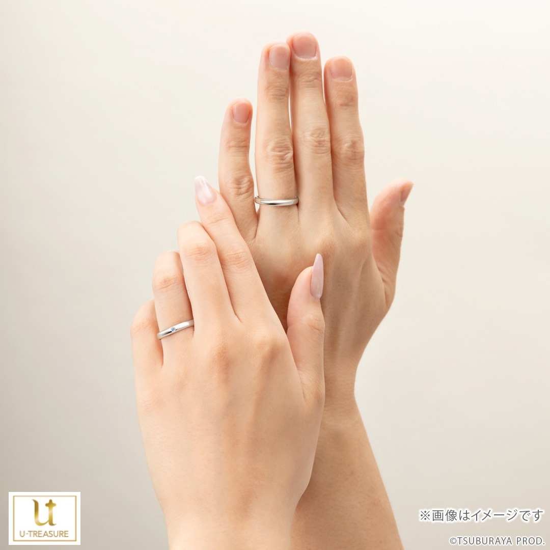 �ڥ���ȥ�ޥ�ۥ֥饤������ ��������ɡʥ֥롼�ȥ꡼�ȡ� �ץ����