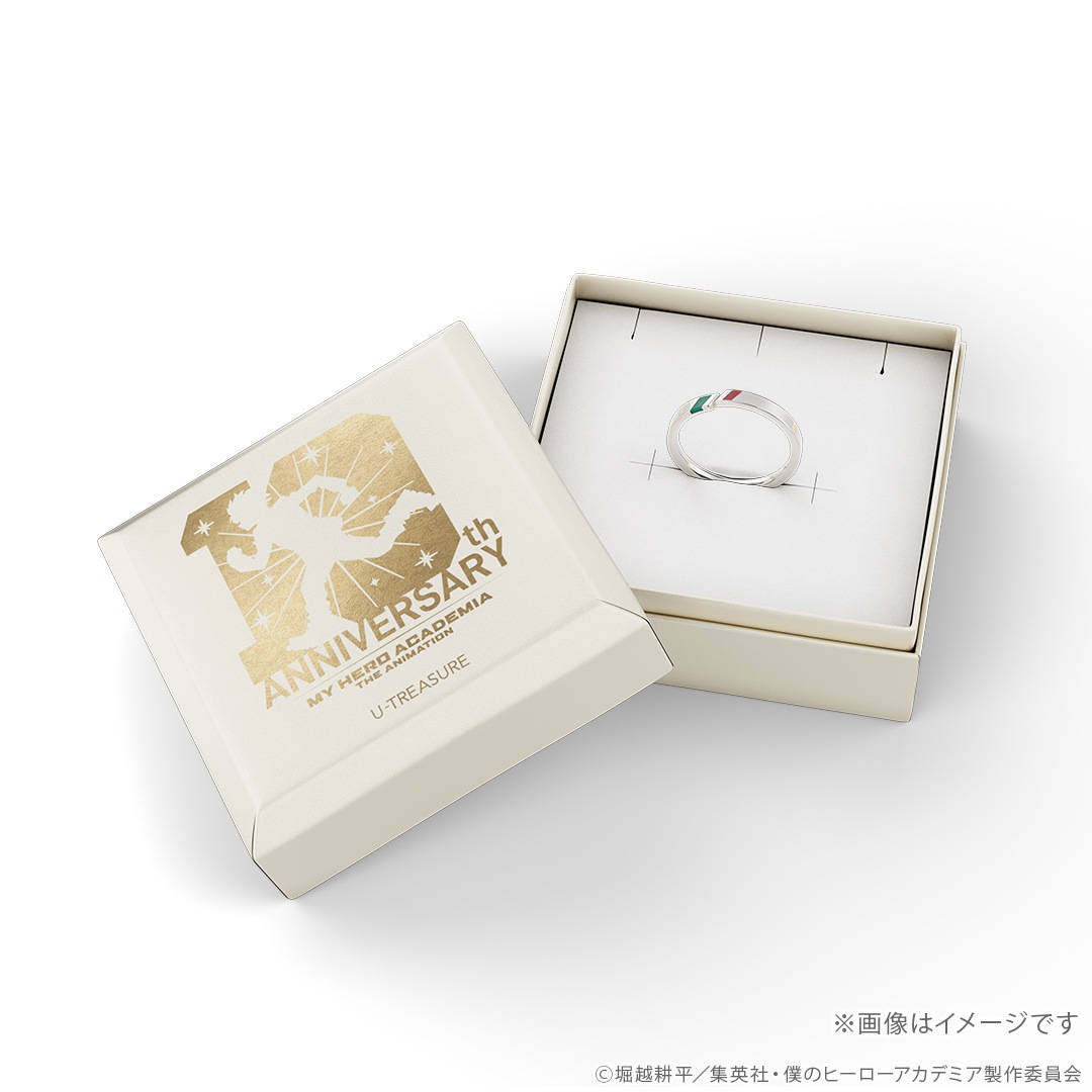 ���ͤΥҡ����������ǥߥ���10th Anniversary ��å�������� K10�ۥ磻�ȥ������