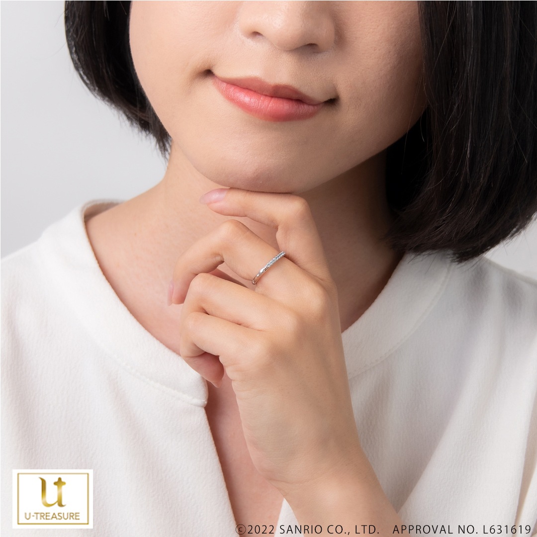 ڥꥪ饯ۥϡե˥ƥ(Cinnamoroll С