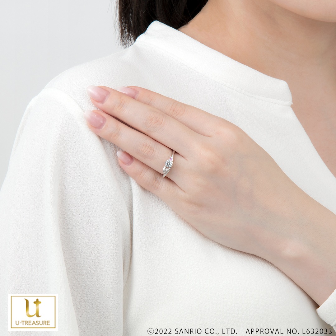 ڥʥCinnamoroll  С ǥ