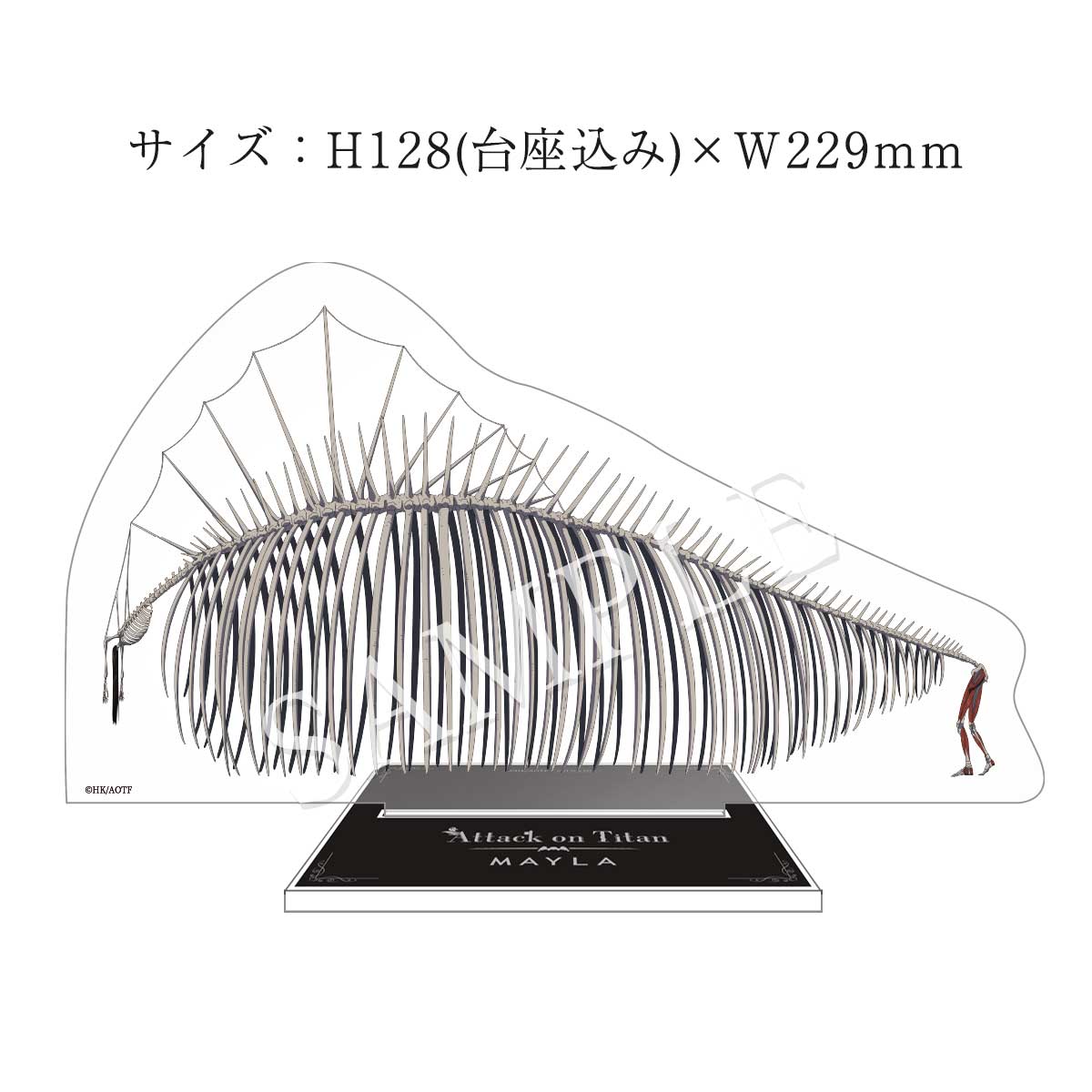 ��TV���˥�ؿʷ�ε�͡١�MAYLA �ޥ��� �������˥å����塼�����֥��� �ѥ�ץ��������ε�͡�