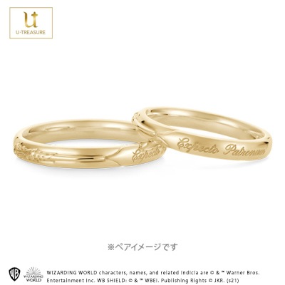 ڥϥ꡼ݥåHarry Potter Ring K18