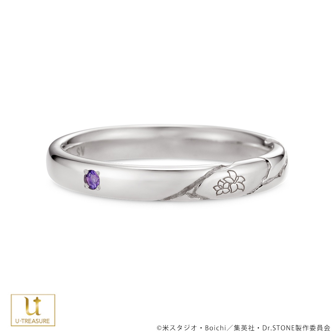 ��TV���˥��Dr.STONE�ס� ��å�������� �������ꥲ�� ����С�