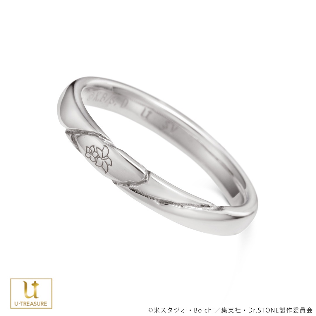 ��TV���˥��Dr.STONE�ס� ��å�������� �������ꥲ�� ����С�