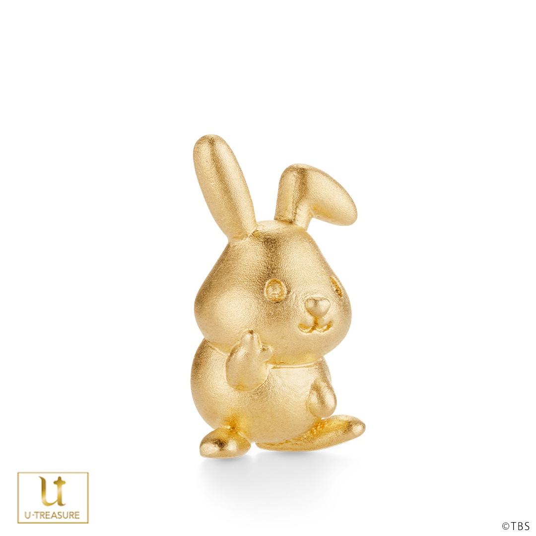 ڥåԡ  100 åԡ ե奢S K24