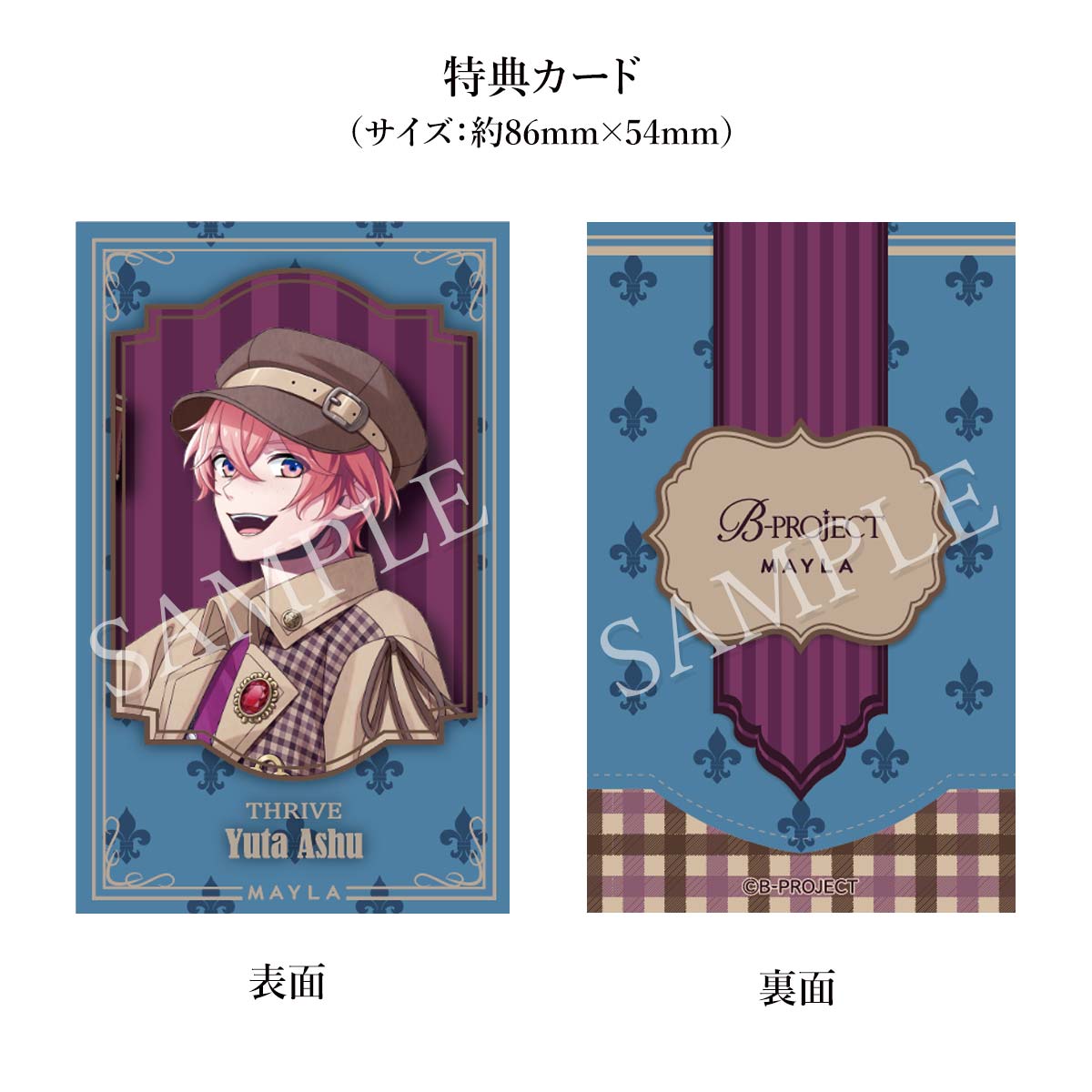 B-PROJECT MAYLA ޥ B-PROJECT 㡼 ڥåȡ  ͪ