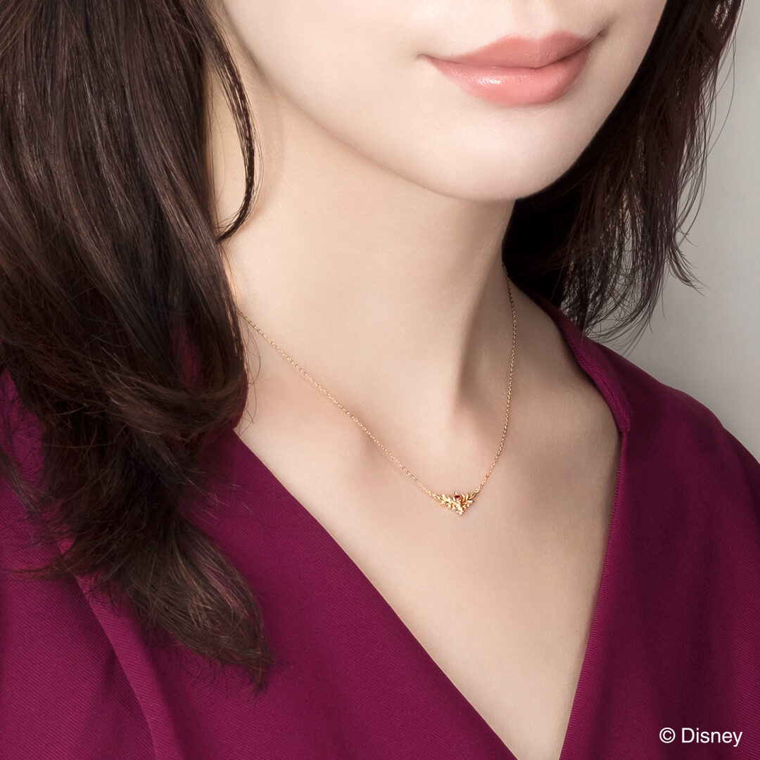 ڥǥˡۥ ʤν  ͥå쥹 / The Sisters Anna /  ץ ɥåץɡDisney