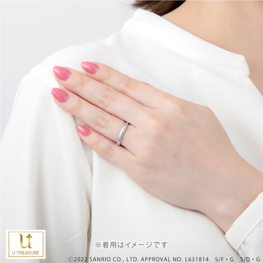 ڥꥪ饯POMPOMPURIN  Сʥɥƥ󥰡