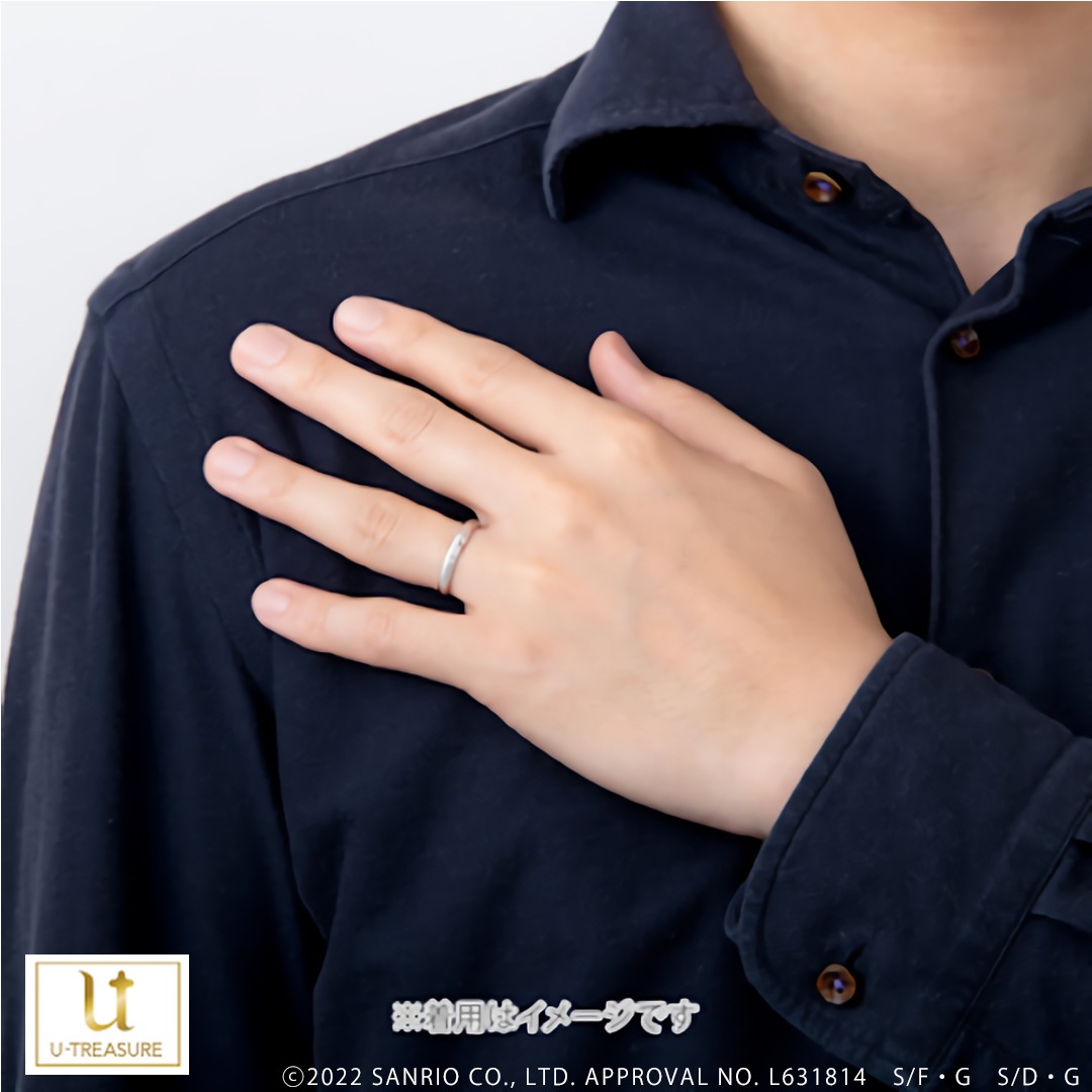 ڥꥪ饯POMPOMPURIN  Сʥɥƥ󥰡