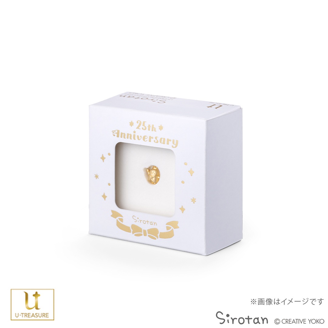 ڤ <<250θ>>  25ǯ ץ ߥ˥ե奢 ץ999