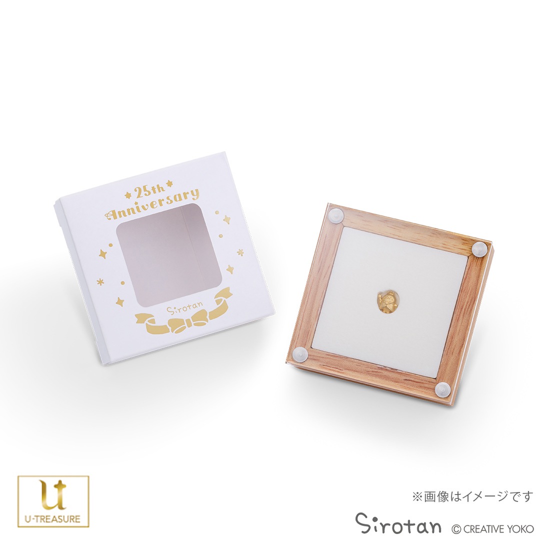 ڤ <<250θ>>  25ǯ ץ ߥ˥ե奢 ץ999