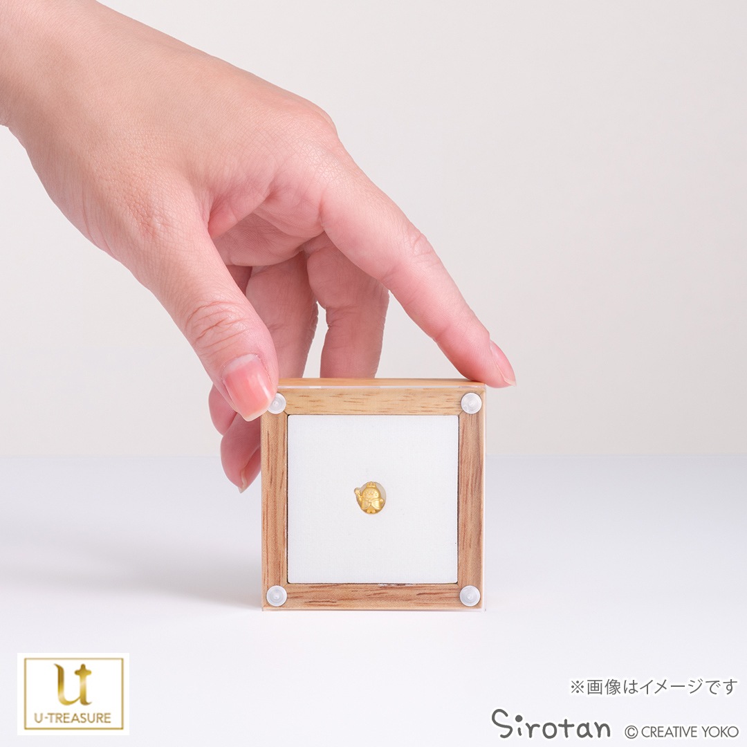 ڤ <<250θ>>  25ǯ ץ ߥ˥ե奢 ץ999