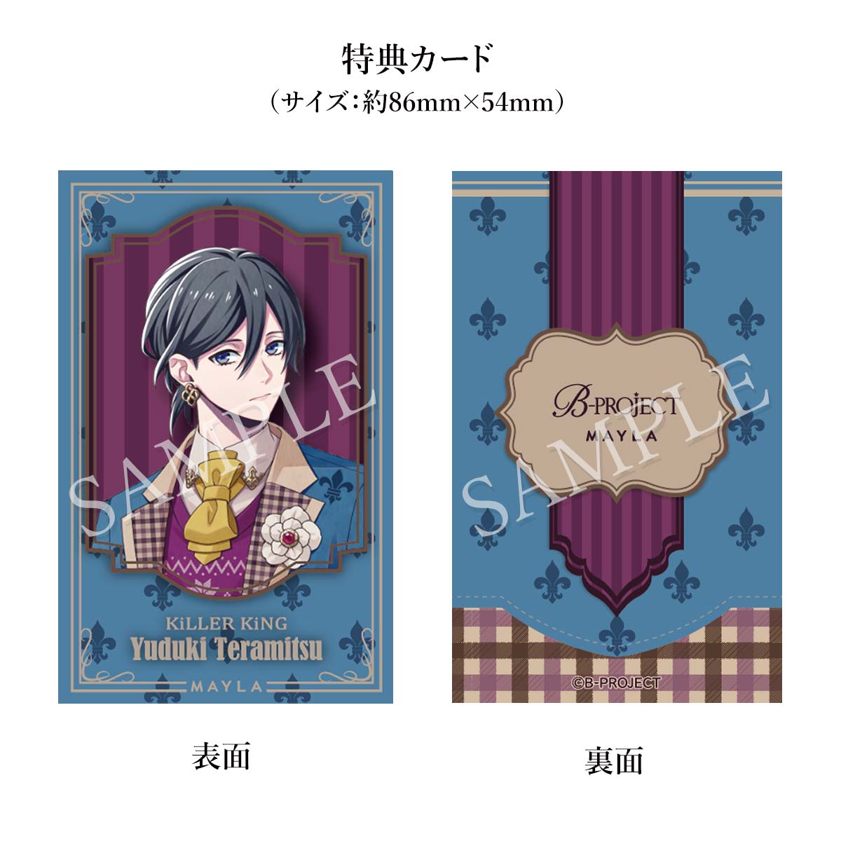 B-PROJECT MAYLA ޥ B-PROJECT 㡼 ڥåȡ  ͣ