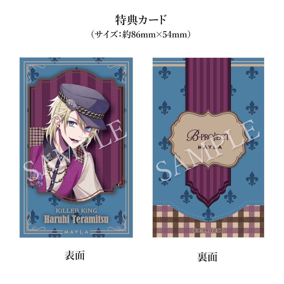 B-PROJECT MAYLA ޥ B-PROJECT 㡼 ڥåȡ  