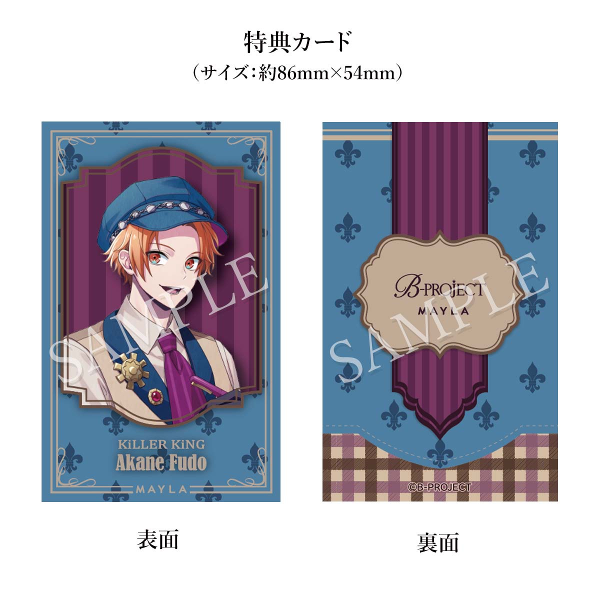 B-PROJECT MAYLA ޥ B-PROJECT 㡼 ڥåȡ ư 