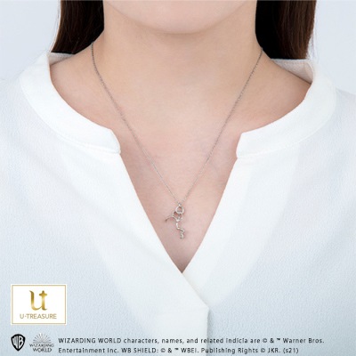 �ڥե��󥿥��ƥ��å����ӡ����ȡ�Bowtruckle Necklace ����С�