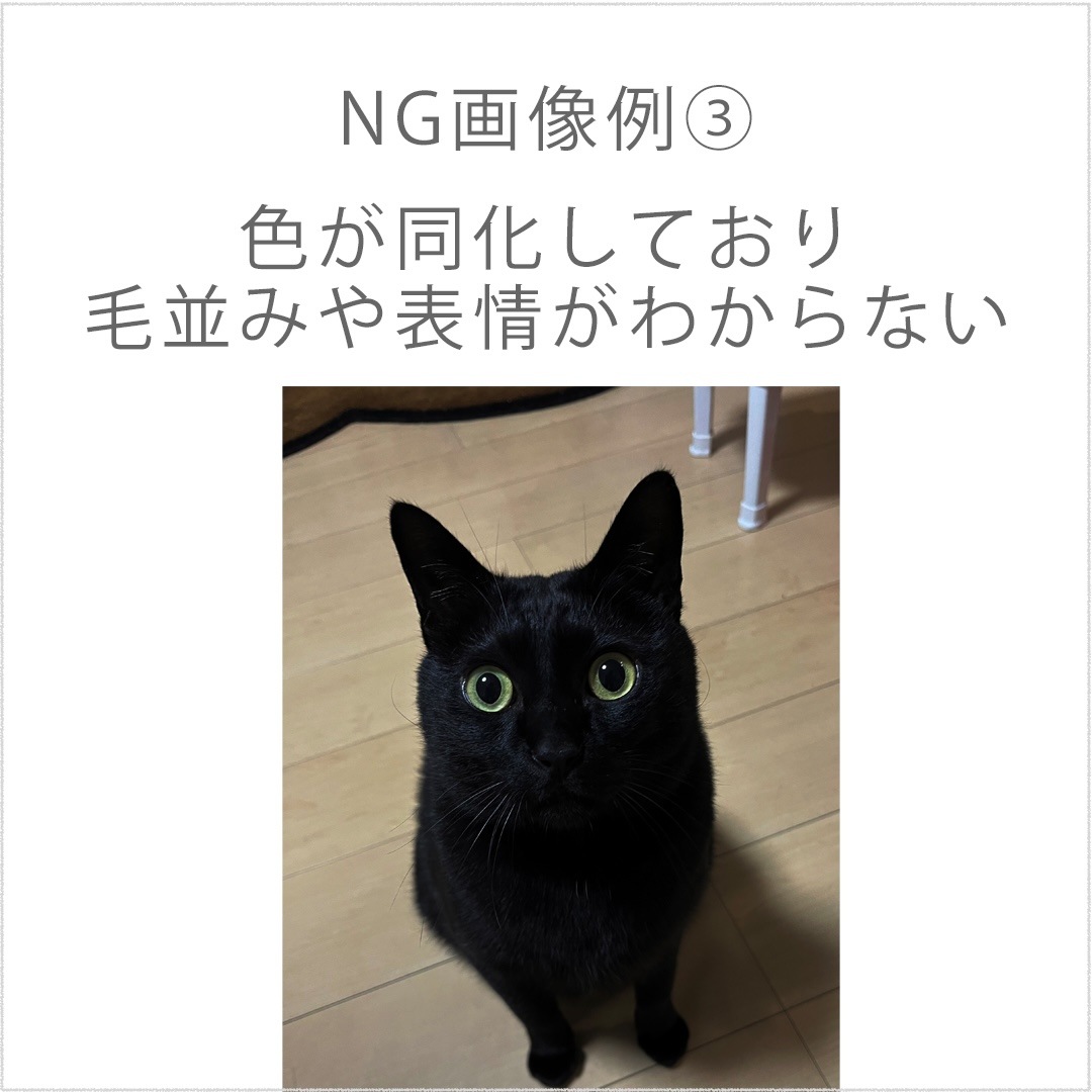 ڥڥåȥꥢ  ӻ ٥ʥ쥯󥮥顼 ǥ