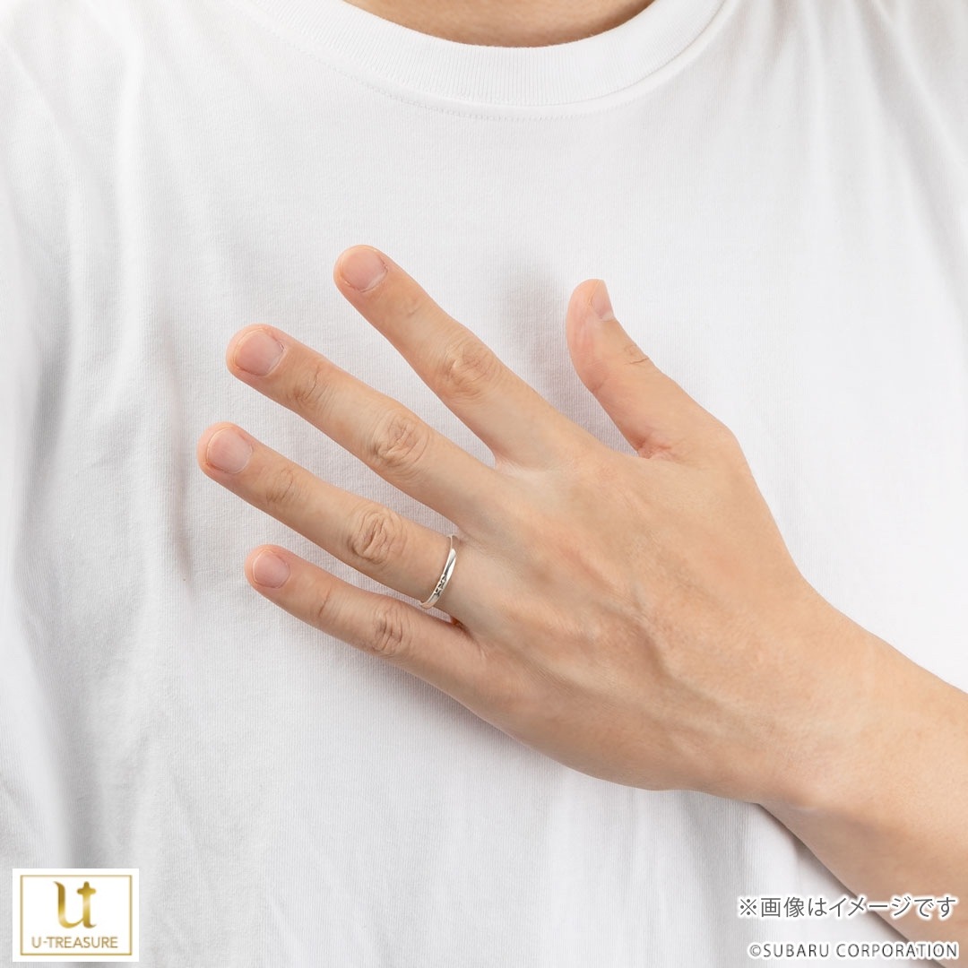 ��SUBARU�� Pleiades / �뺧���� �ץ���� ���