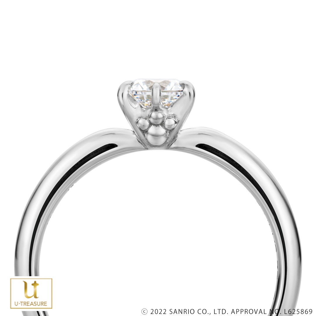 ڥݥåPOCHACCO  ץʡʥ