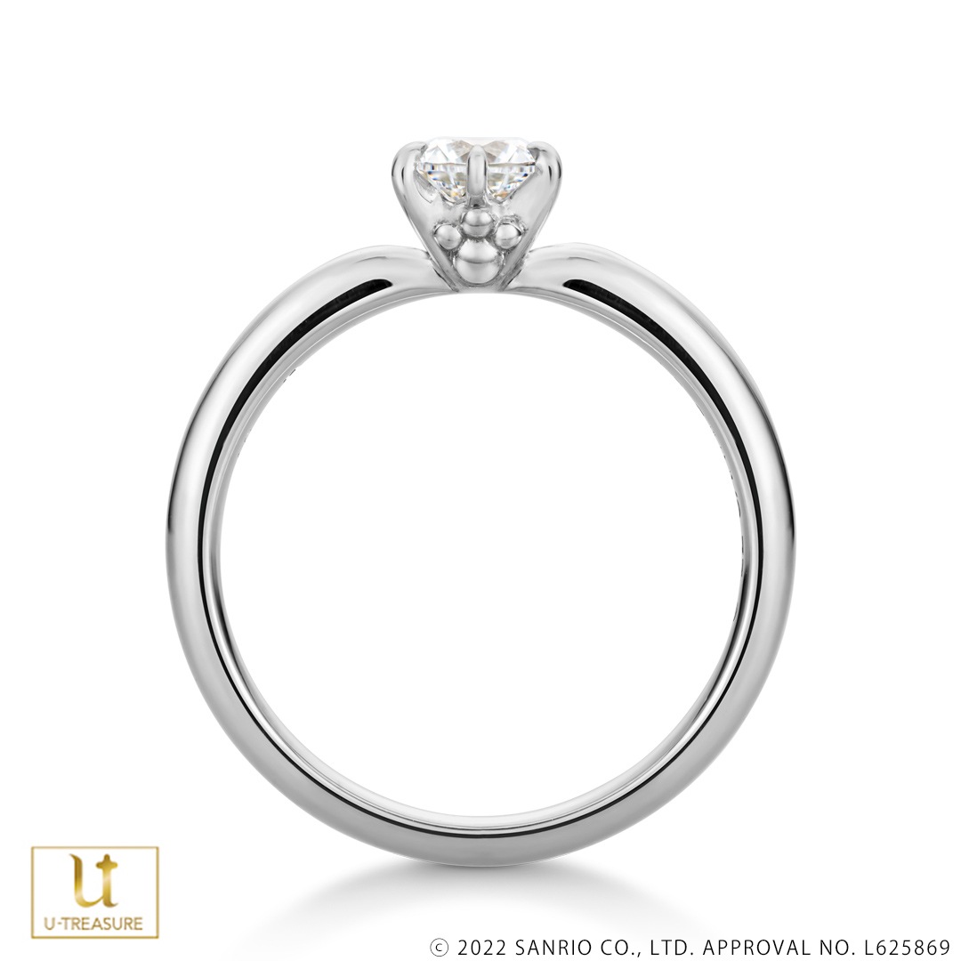 ڥݥåPOCHACCO  ץʡʥ