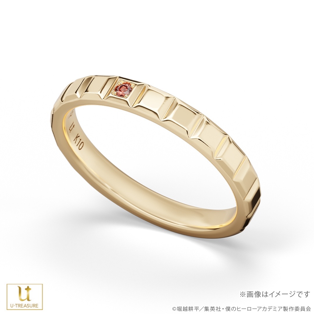 ���ͤΥҡ����������ǥߥ��ۥ��顼���ȡ����� ���뾡�� K10���������������