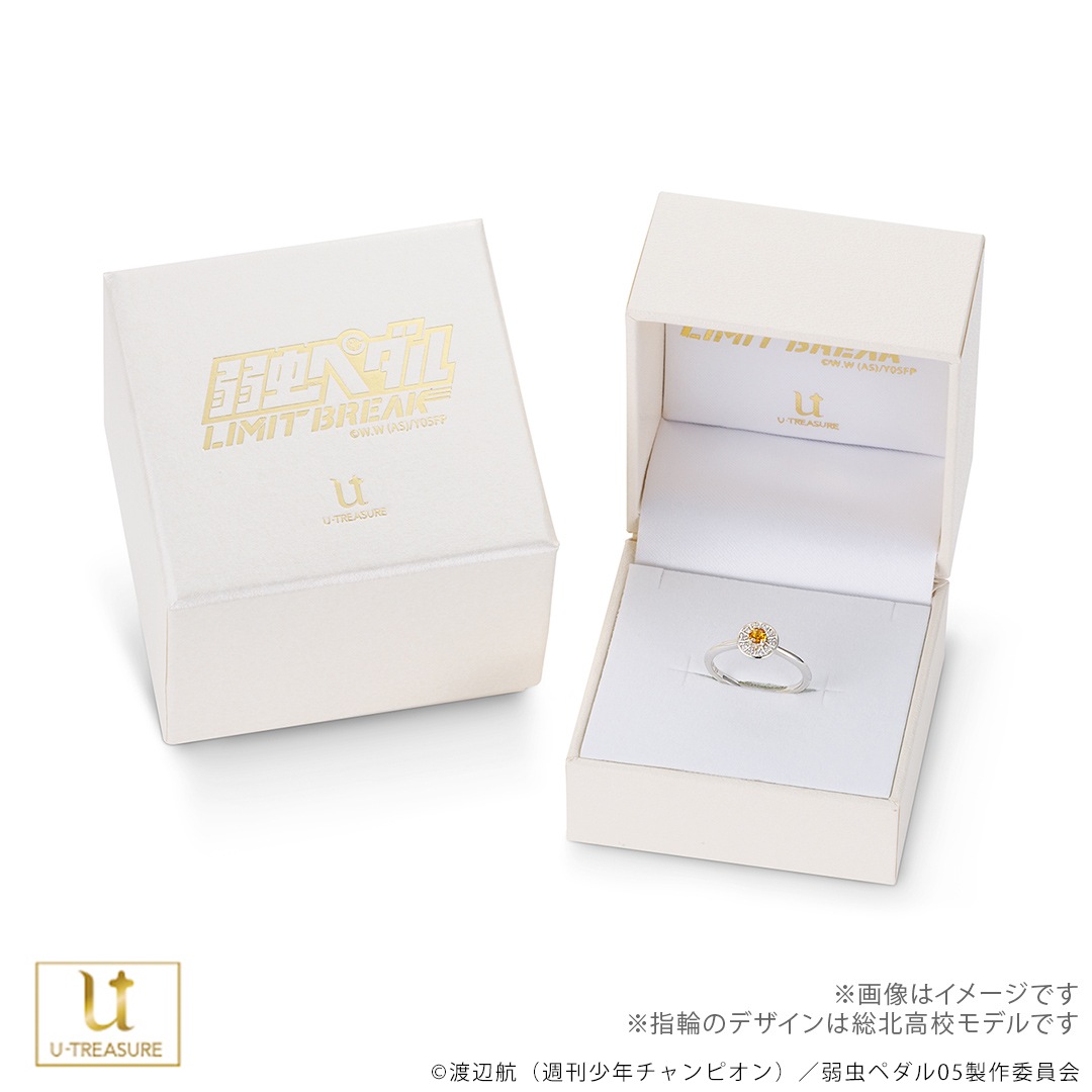 TV˥ּڥ LIMIT BREAKס10ǯǰ Ȣر С925 ǥ