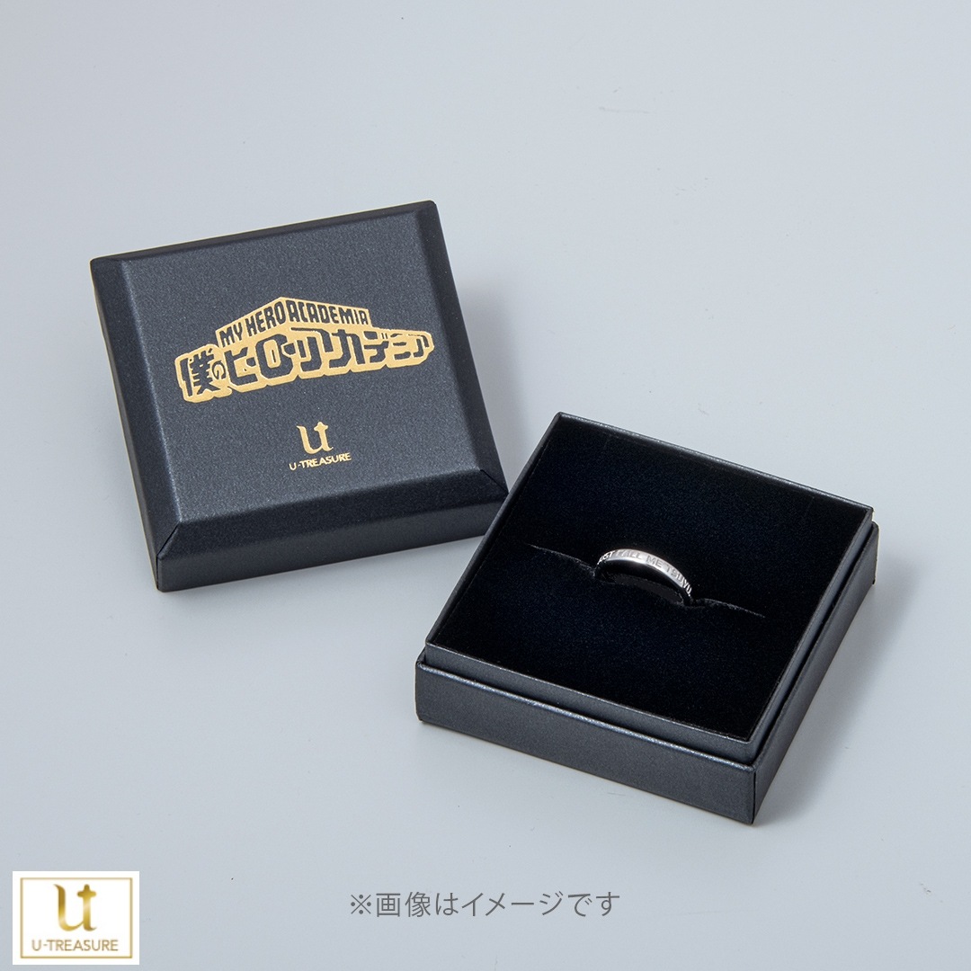 ���ͤΥҡ����������ǥߥ��ۥ��顼���ȡ����� ��ë�е� K10���������������