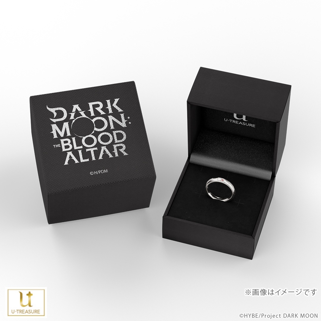 ��DARK MOON: THE BLOOD ALTAR�ۥ�󥰡�����С�