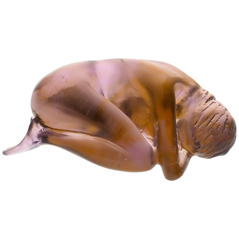 ドーム  プルミエ･アムール(初恋) 03914