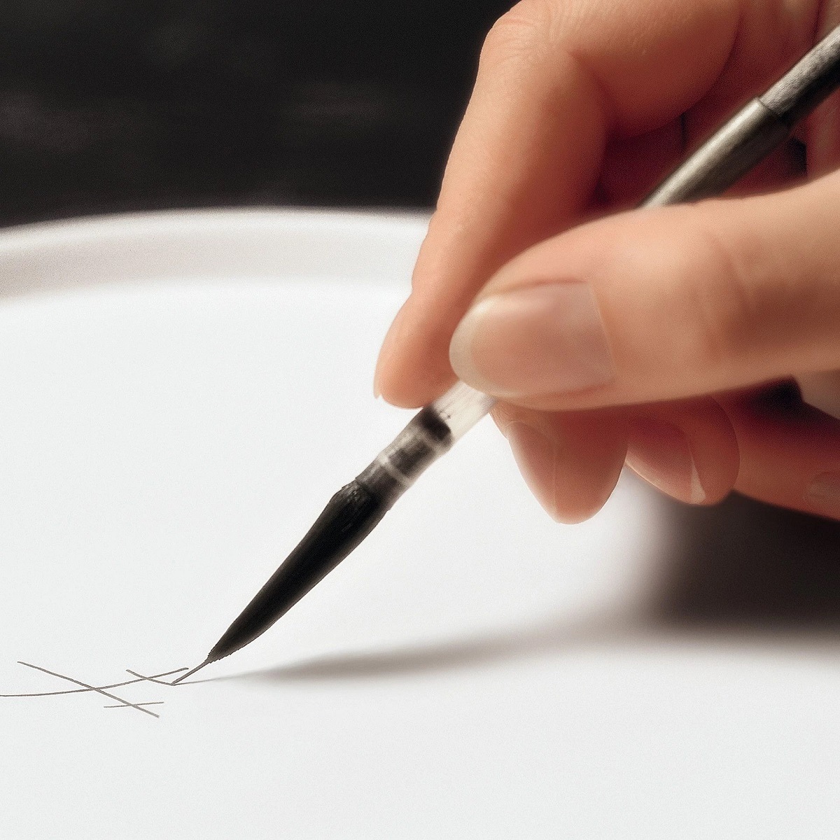 ޥ ݥ꥿ ѥ쥹 ѥץ졼21cm () 79A472/37276