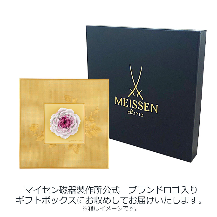 �ޥ����� Ž�֥ץ顼��(ƫ��)  �֥Х�� 9M859/932307