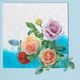 �ޥ����� �ץ顼�� �֥Х�סʥ��ꥹ���롦���饺������ 9MA73/65C166