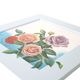 �ޥ����� �ץ顼�� �֥Х�סʥ��ꥹ���롦���饺������ 9MA73/65C166
