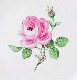 ޥ ޥΥХʥԥ󥯡 ܥå9.5cm 52324/020110