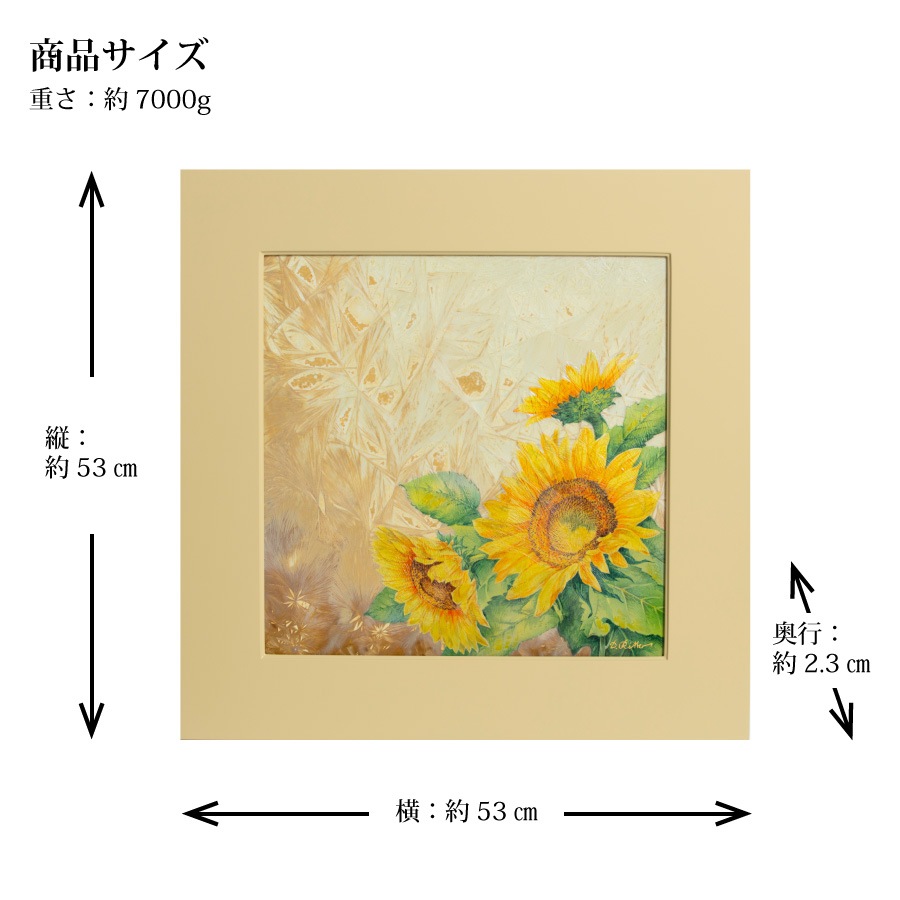 �ޥ����� �ץ顼�� �֥ҥޥ��סʥ��ꥹ���롦���饺������ 9MA73/65C170
