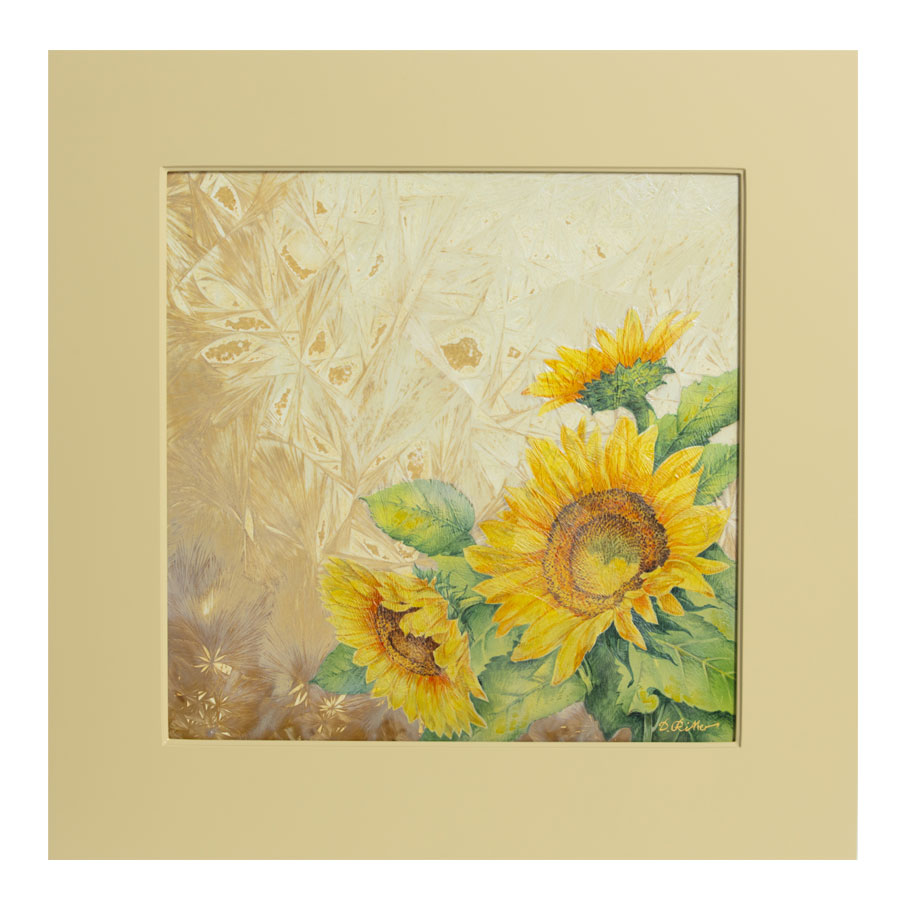 �ޥ����� �ץ顼�� �֥ҥޥ��סʥ��ꥹ���롦���饺������ 9MA73/65C170
