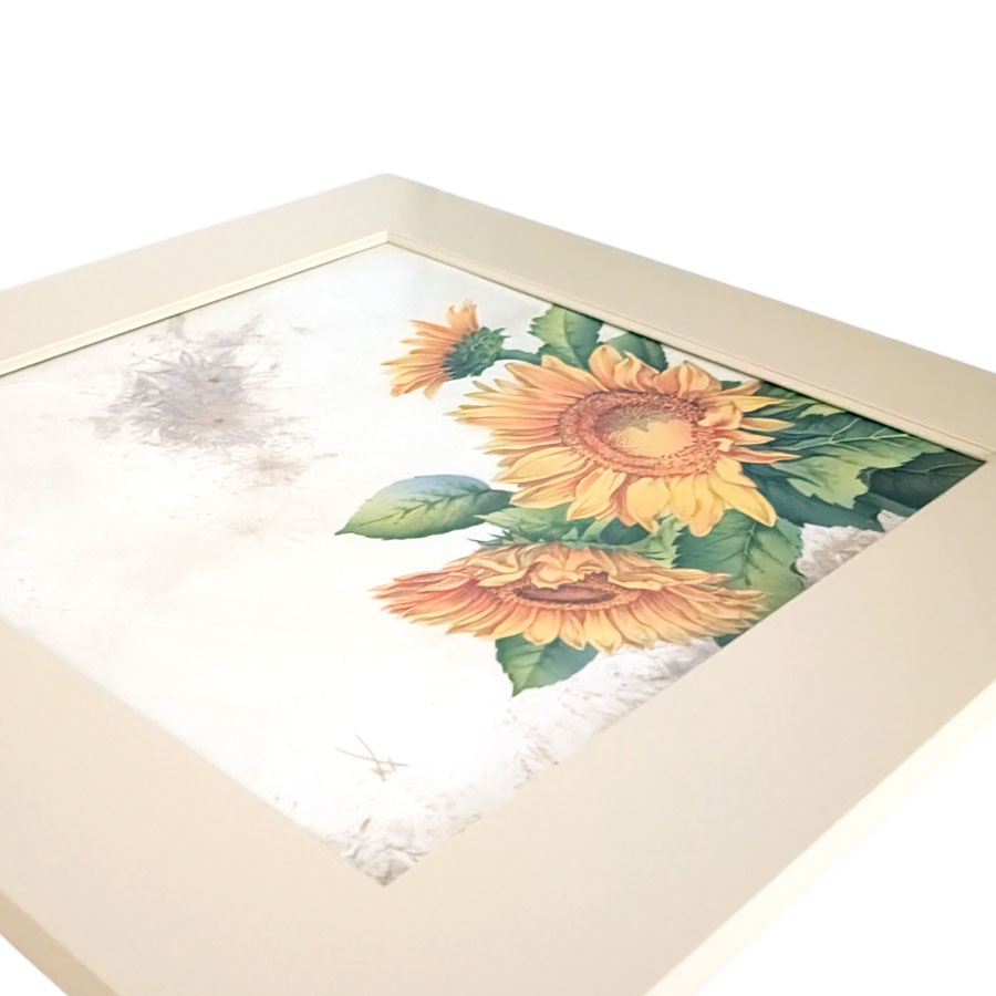 �ޥ����� �ץ顼�� �֥ҥޥ��סʥ��ꥹ���롦���饺������ 9MA73/65C170