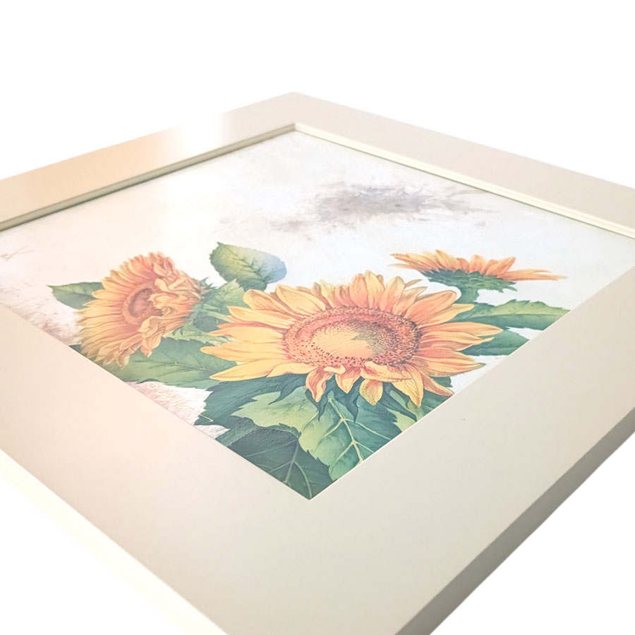 �ޥ����� �ץ顼�� �֥ҥޥ��סʥ��ꥹ���롦���饺������ 9MA73/65C170