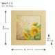 �ޥ����� �ץ顼�� �֥ҥޥ��סʥ��ꥹ���롦���饺������ 9MA73/65C170