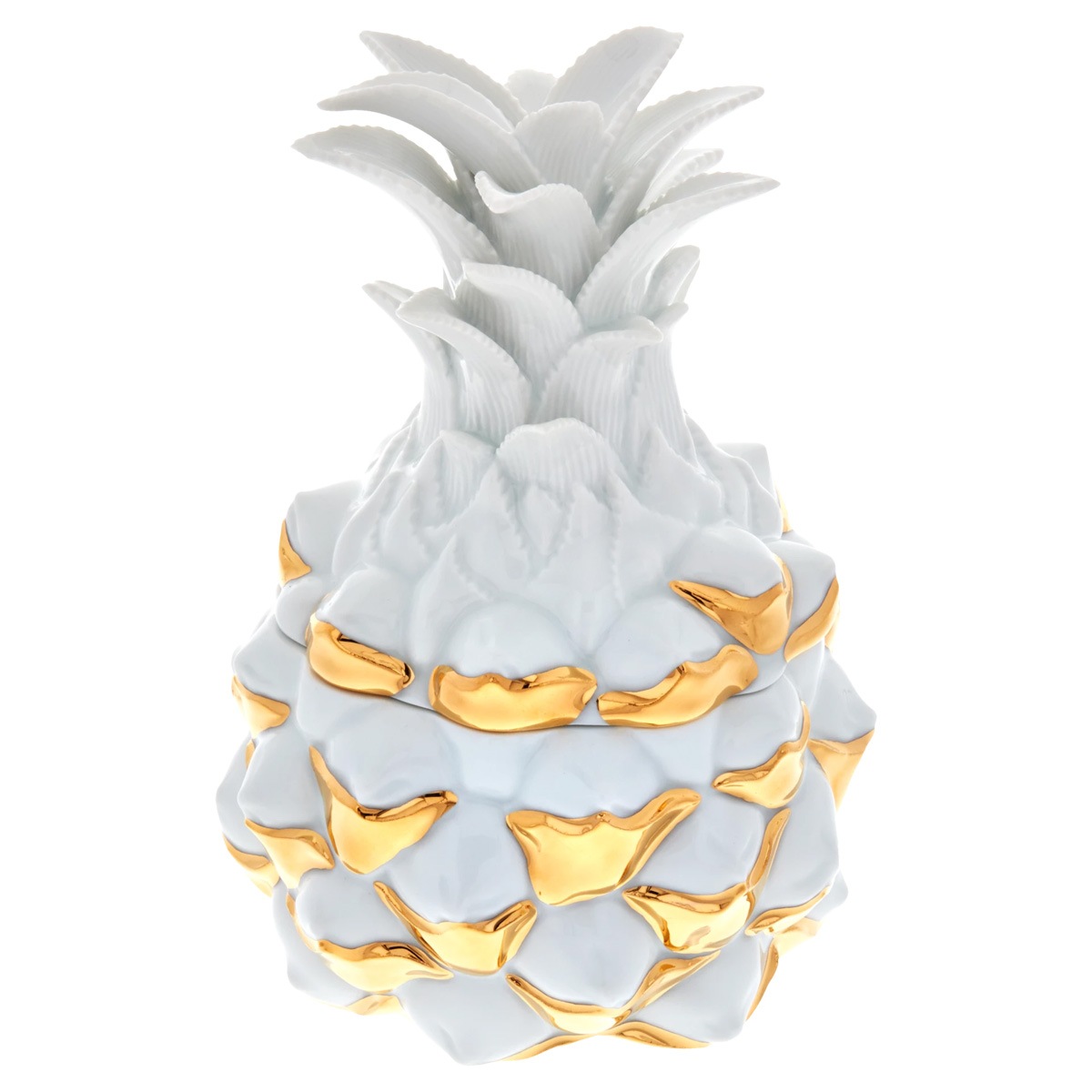 マイセン　食器 マイセン プレート22cm ディス イズ マイセン 79A407/41473 | This is