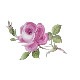 ޥ ֥å Х ޥ 42576/020101