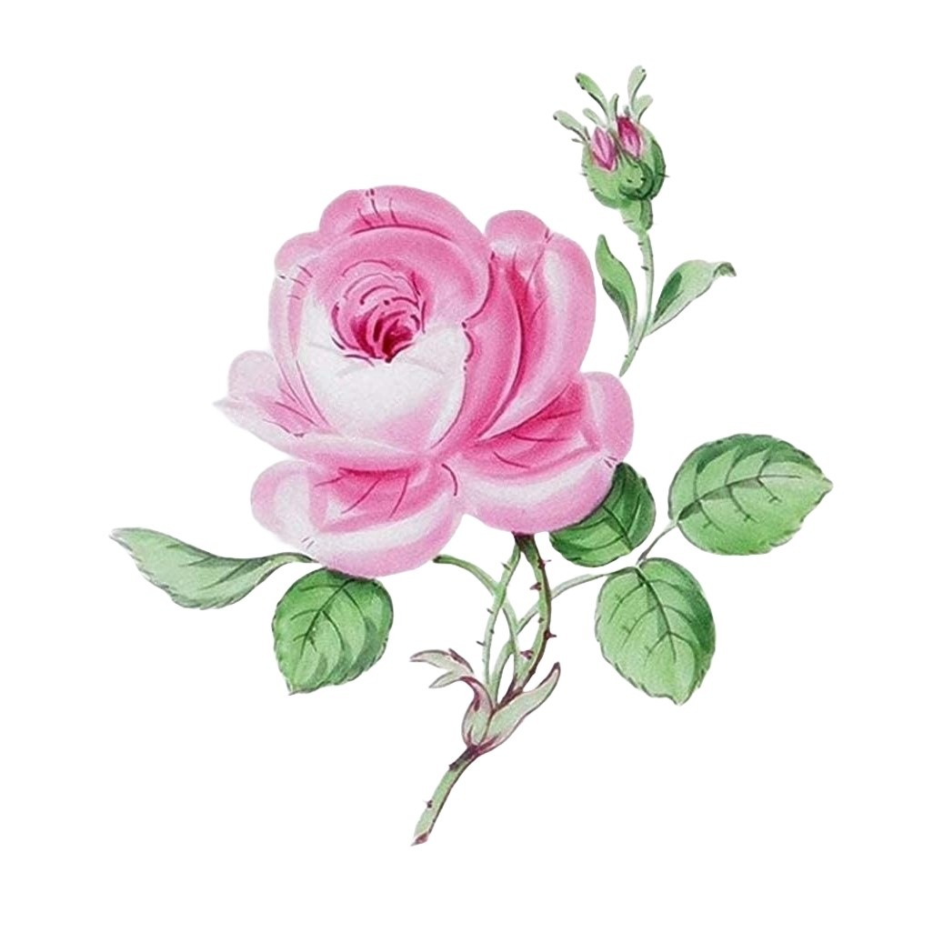 ޥ ޥΥХʥԥ󥯡  50034/020110