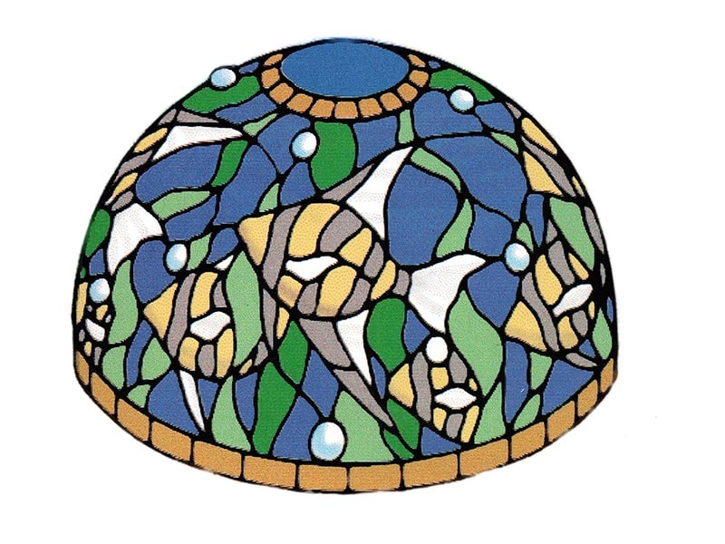 ���ƥ�ɥ���ޥ�_��ǮȾ��⡼���_#10_C_2_���󥼥�ե��å���_Angelfish_372�ԡ���_26cm(��10inch)