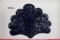 å_ե_Shellֳ_20cm25cm_16ԡ120000000003